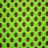 poly mesh